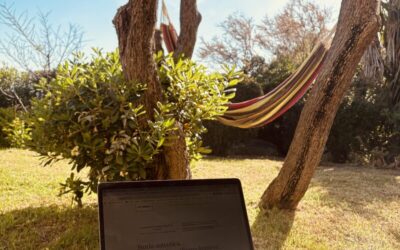 Les feux sont aux verts