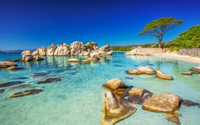 Qui souhaite partir en Corse ? 🙃